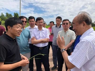 李寿生考察建三江:秸秆炭化还田解决农业难点,炭基肥产业大有可为